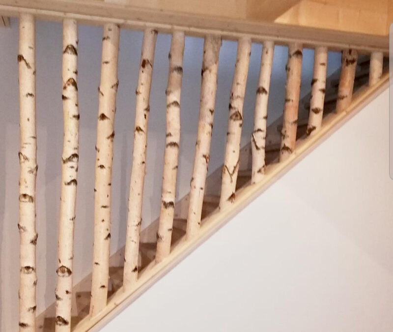 Treppengeländer mit Birkenstämmen
