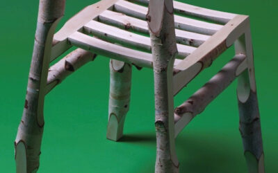 Stuhl aus Birkenstämmen
